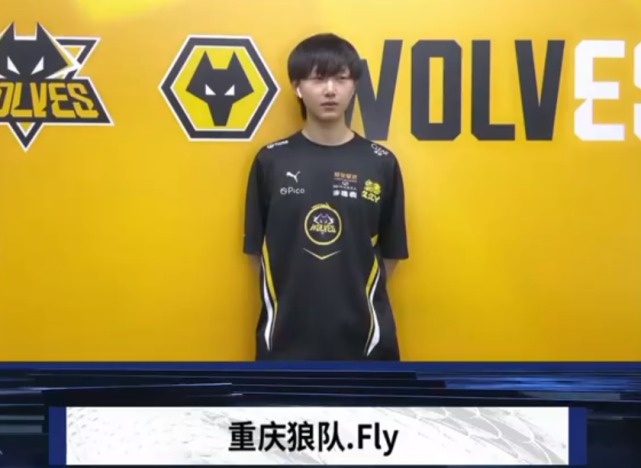 页面与版本